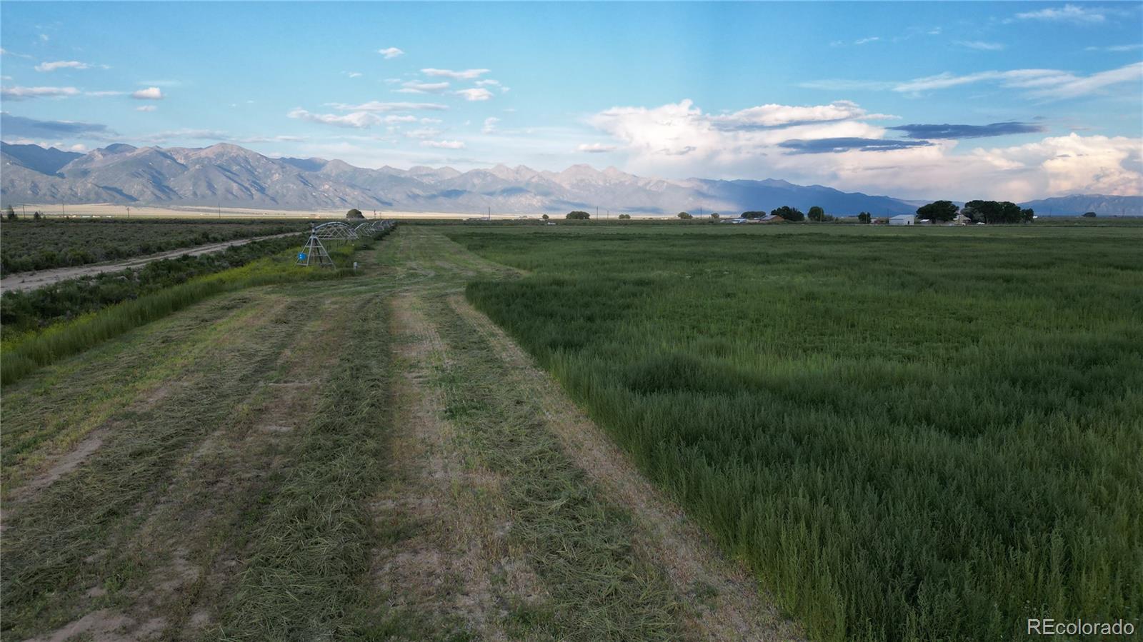 19993 County Road 59