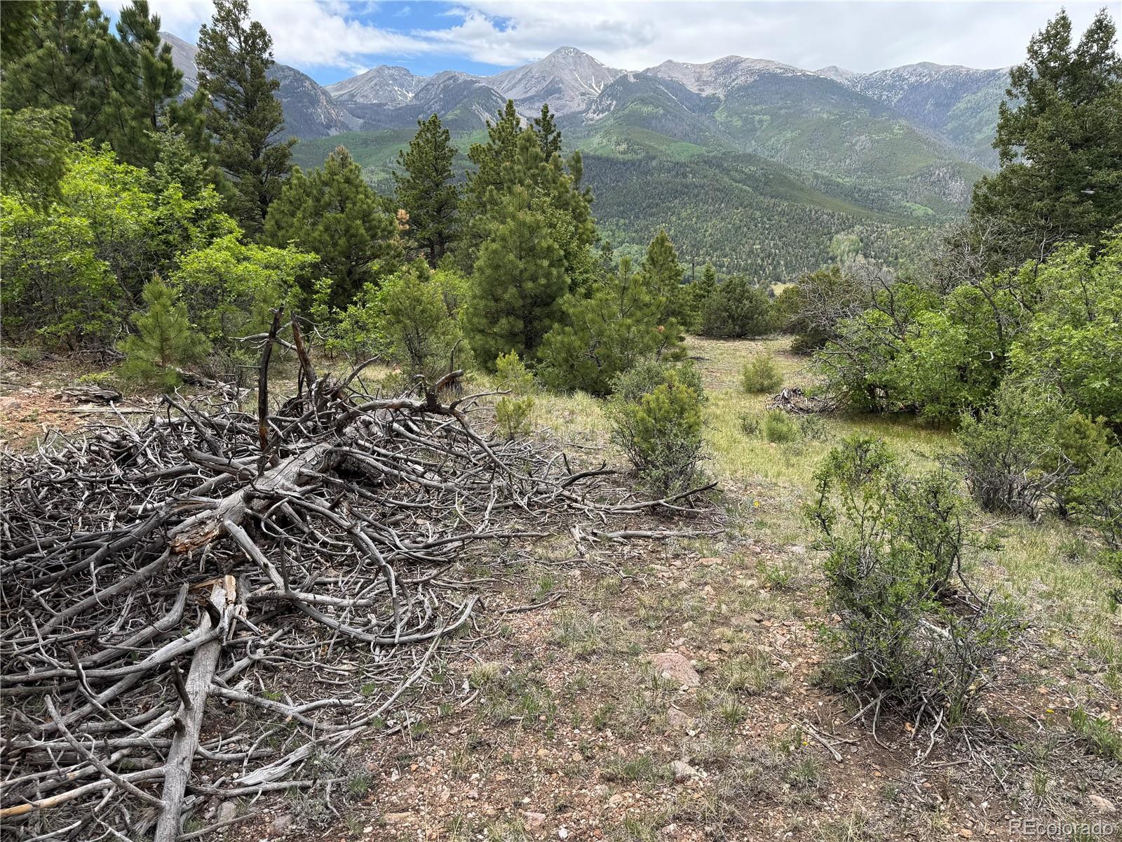 Knotty Pine Road
