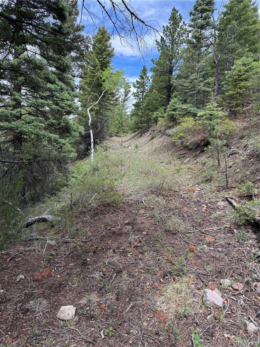 Knotty Pine Road