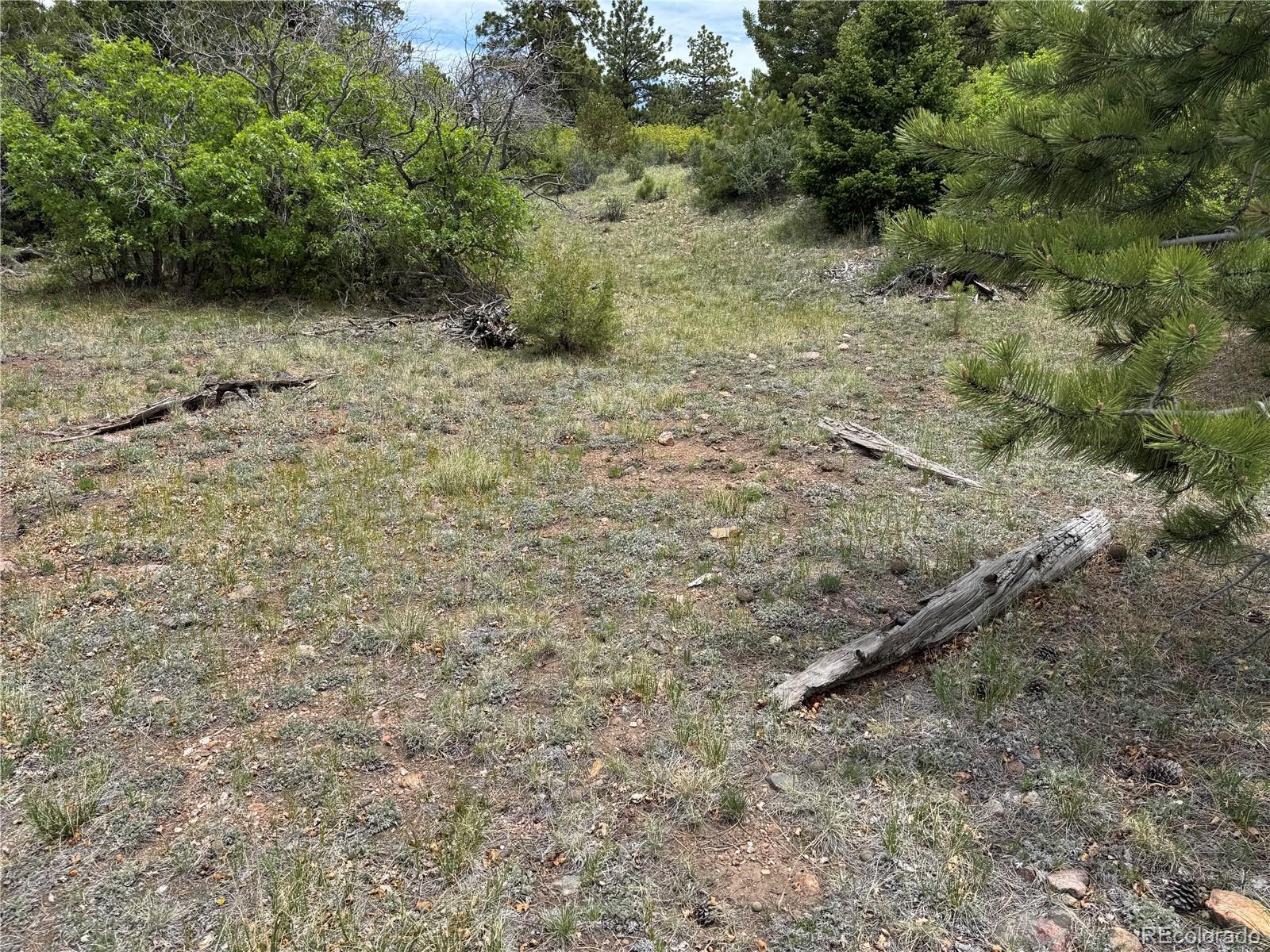 Knotty Pine Road