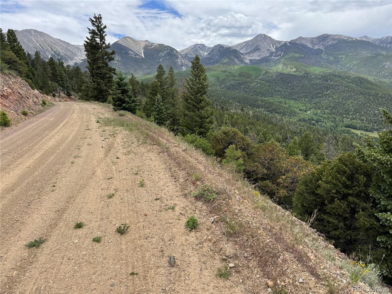 Knotty Pine Road