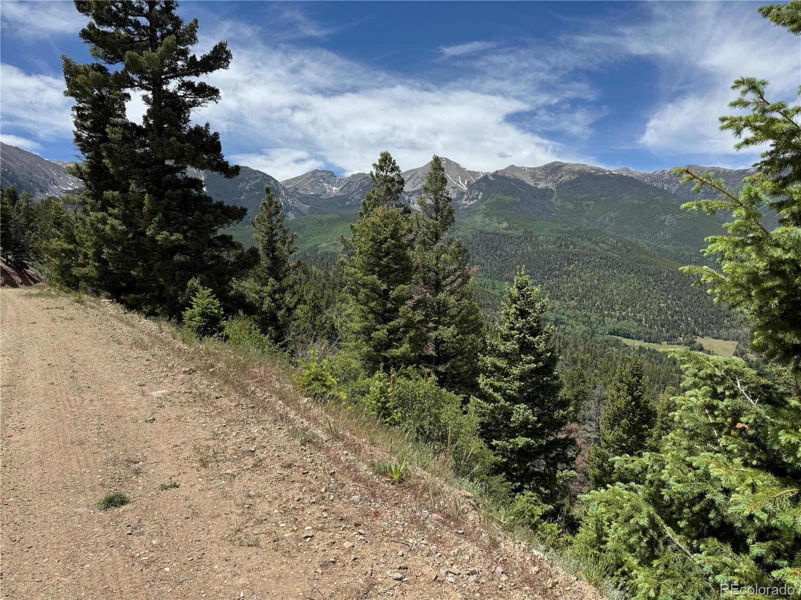 Knotty Pine Road