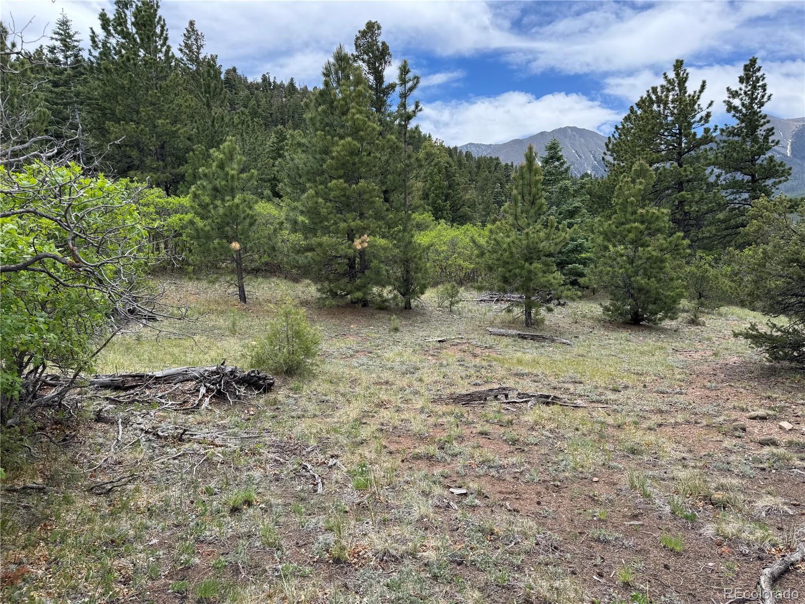Knotty Pine Road