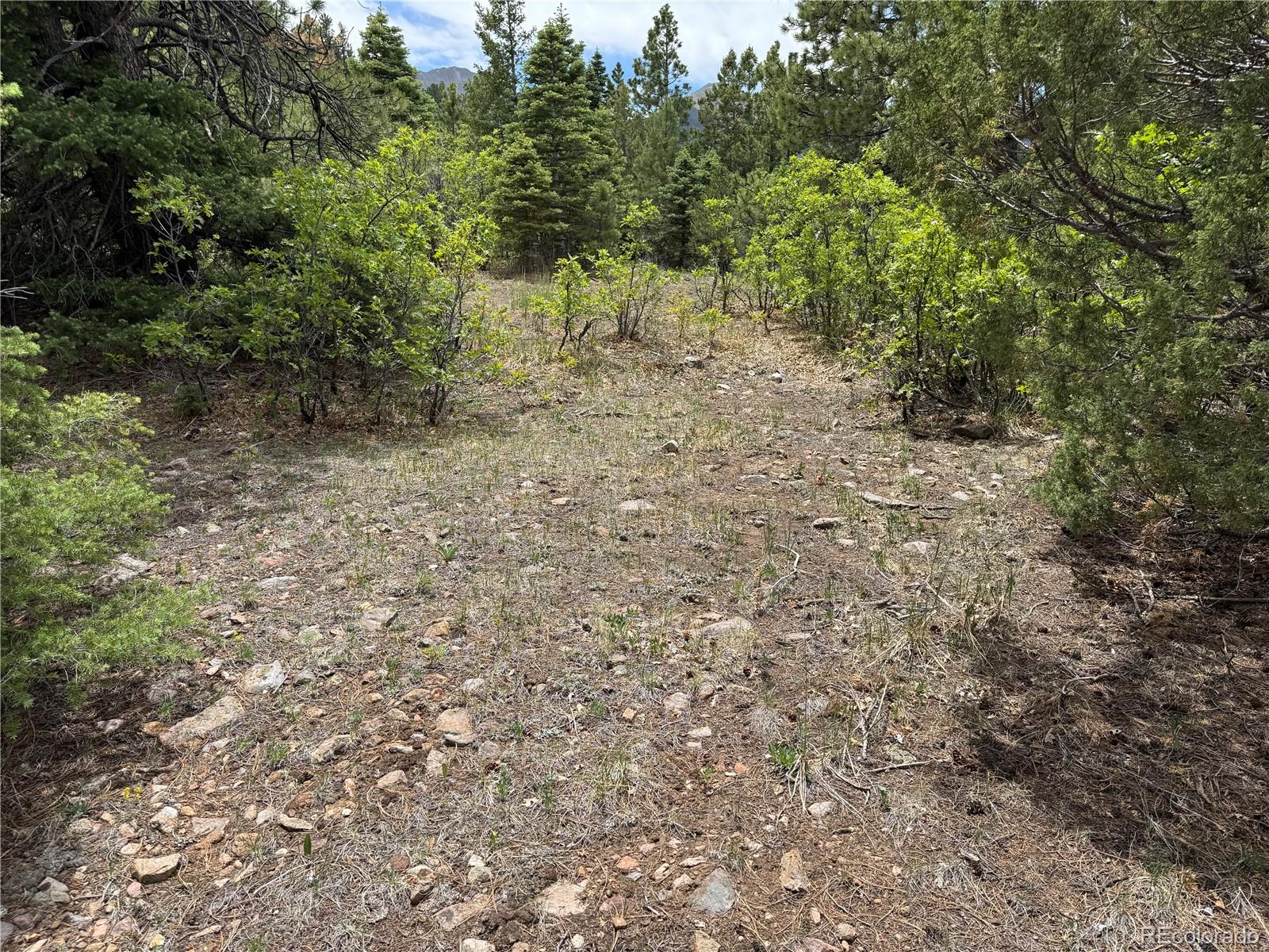 Knotty Pine Road