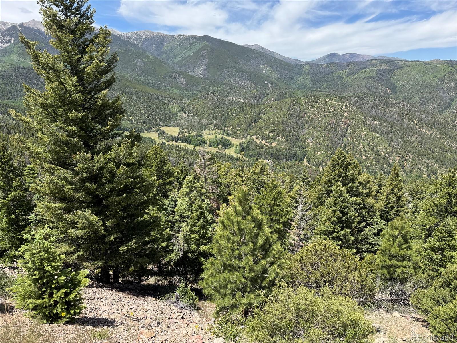 Knotty Pine Road