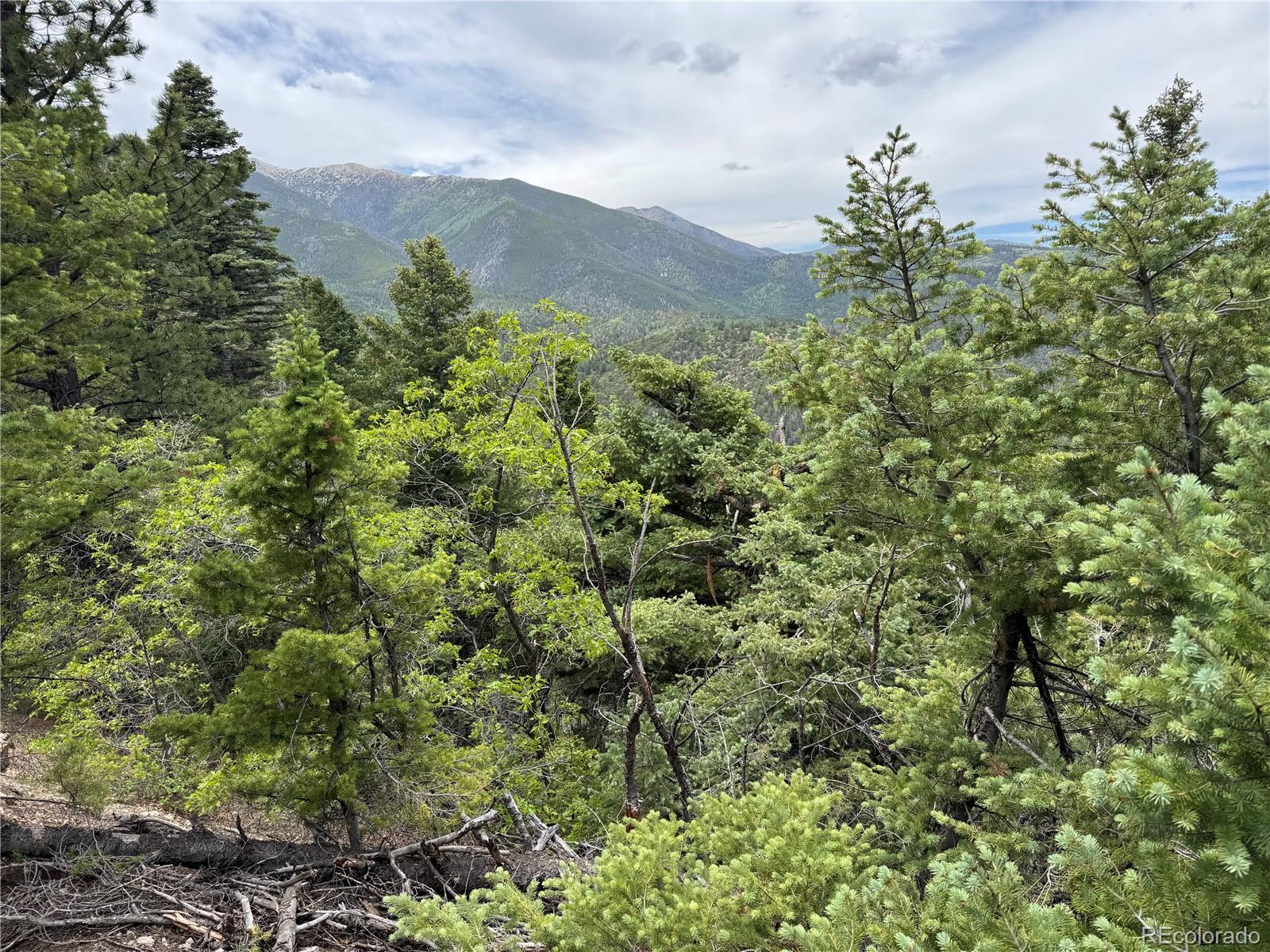 Knotty Pine Road