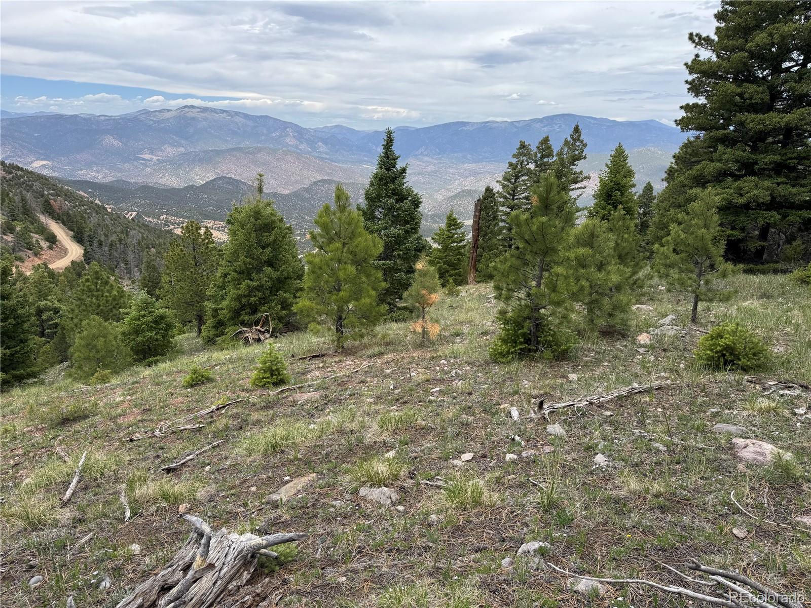 Knotty Pine Road