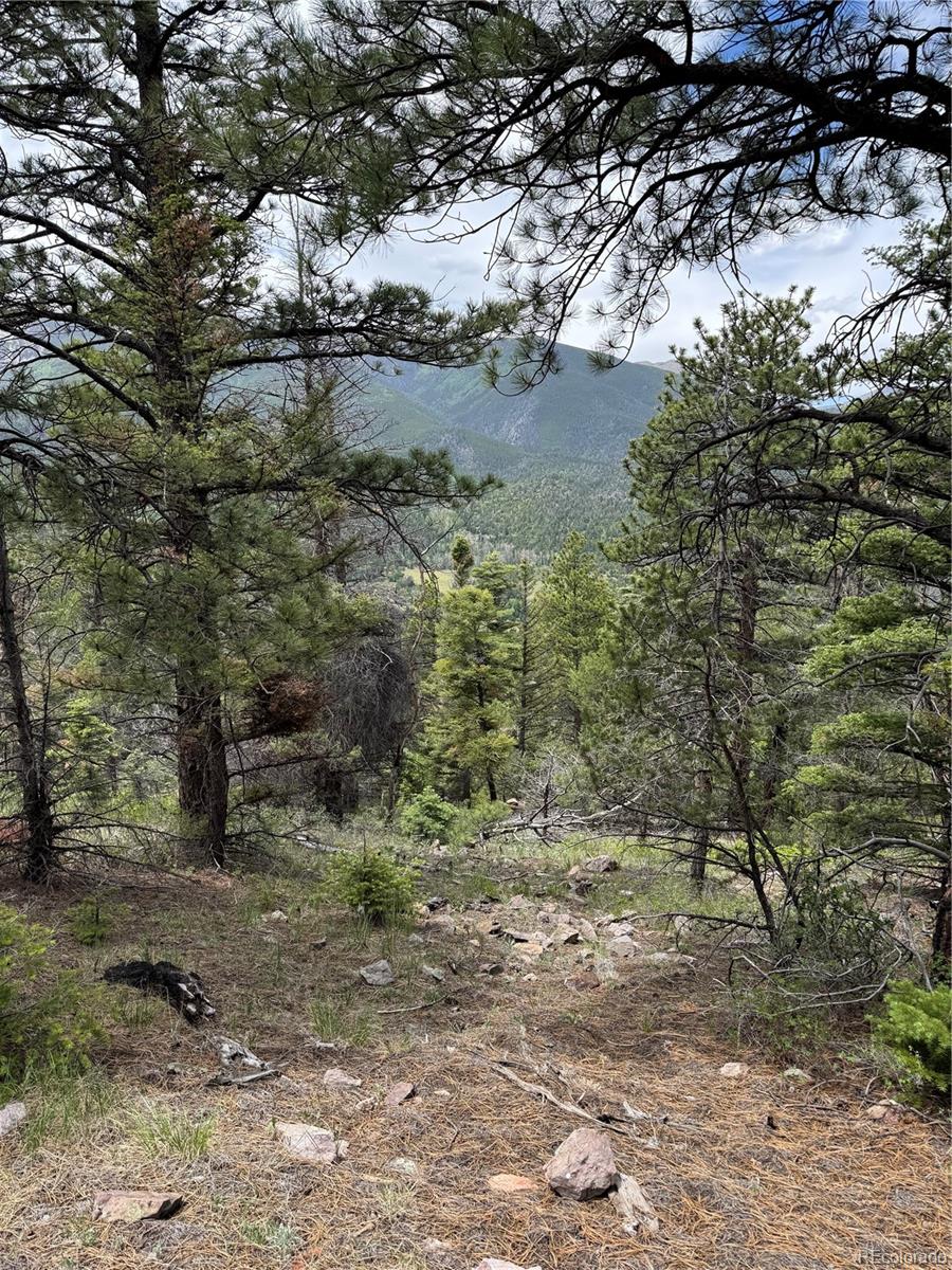 Knotty Pine Road