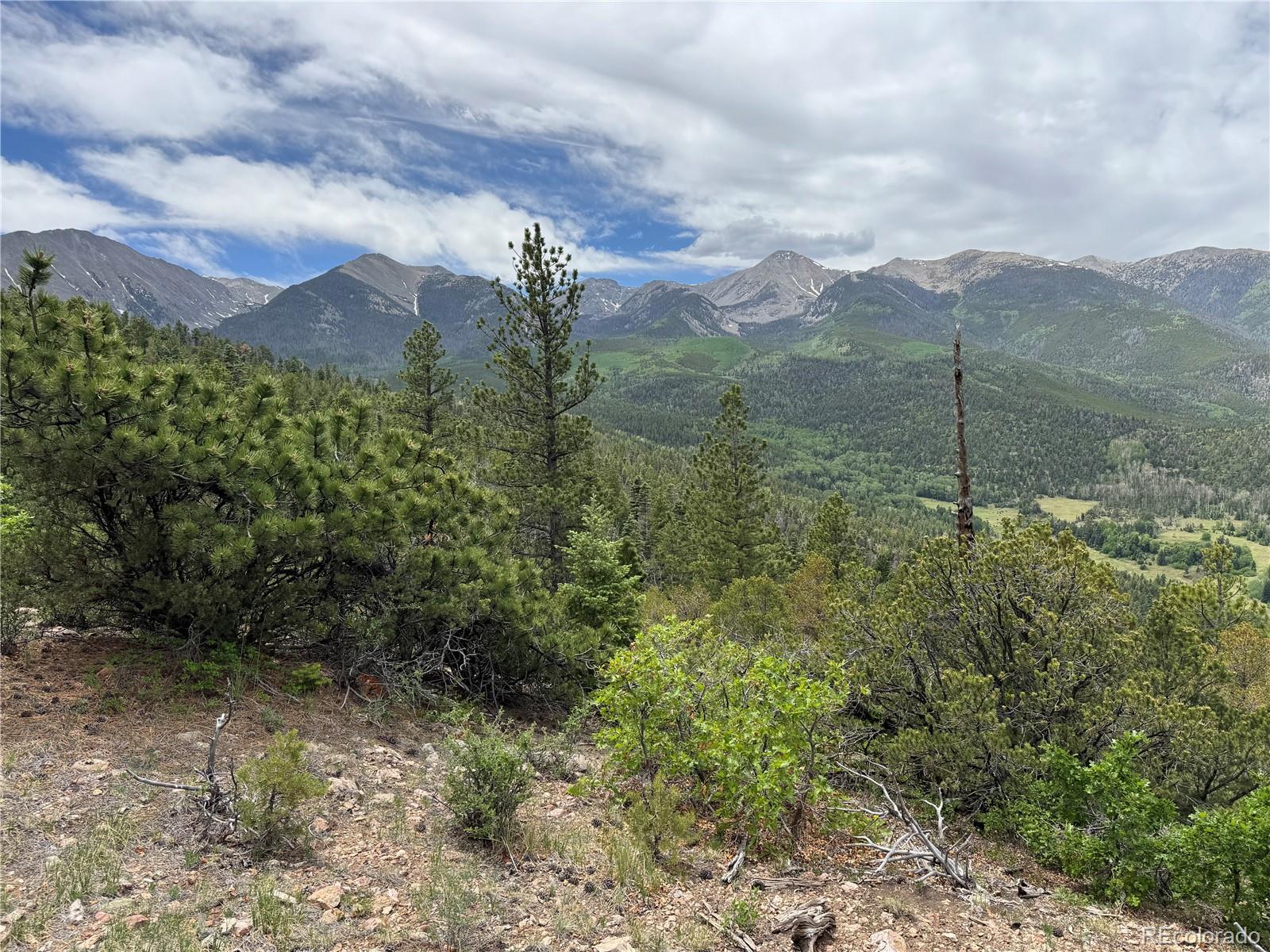 Knotty Pine Road