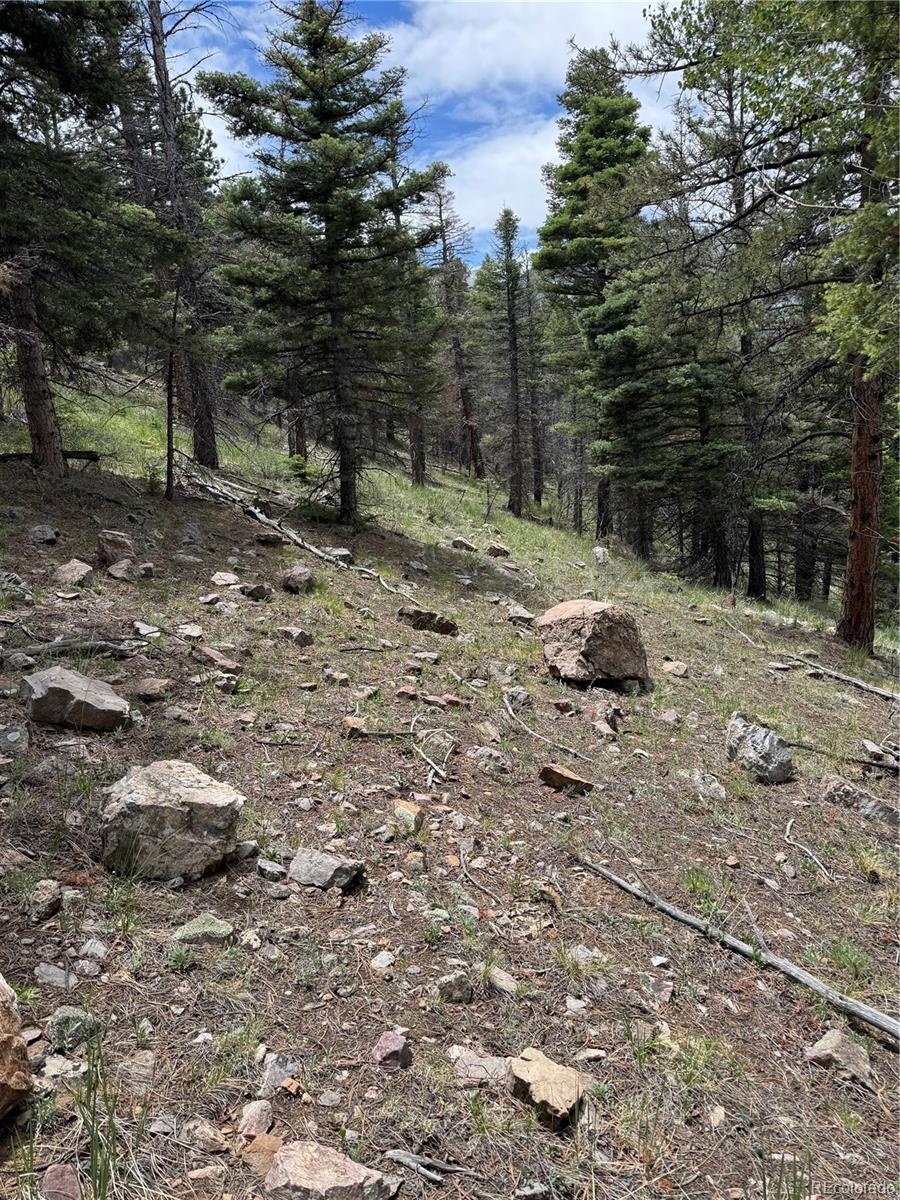 Knotty Pine Road