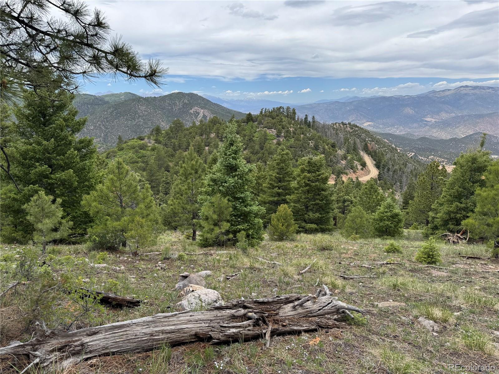 Knotty Pine Road