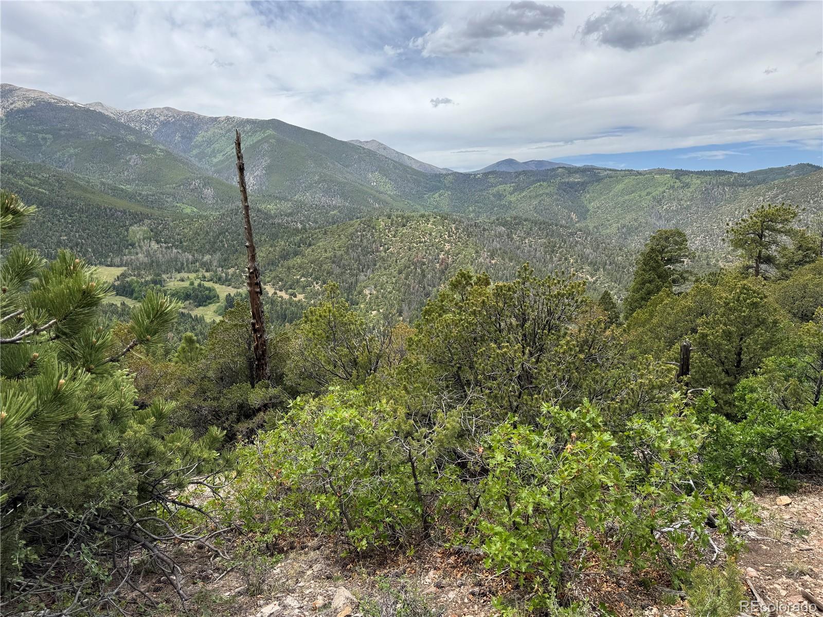 Knotty Pine Road