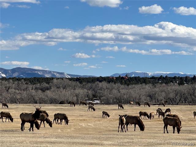 16103 US Highway 285