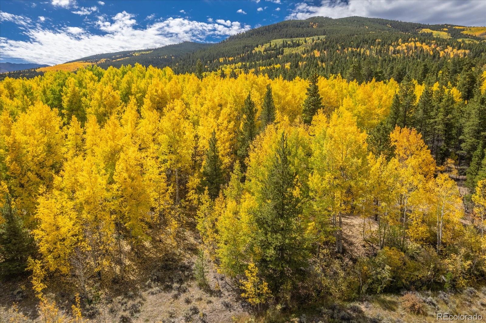 000 TBD County Road 28A