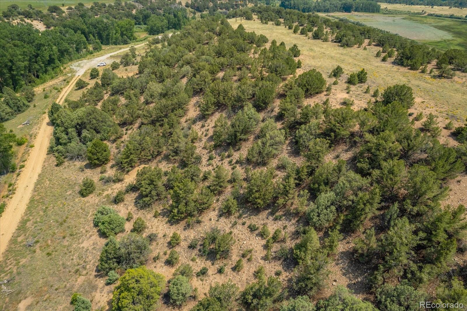 7925 Cozart Lane