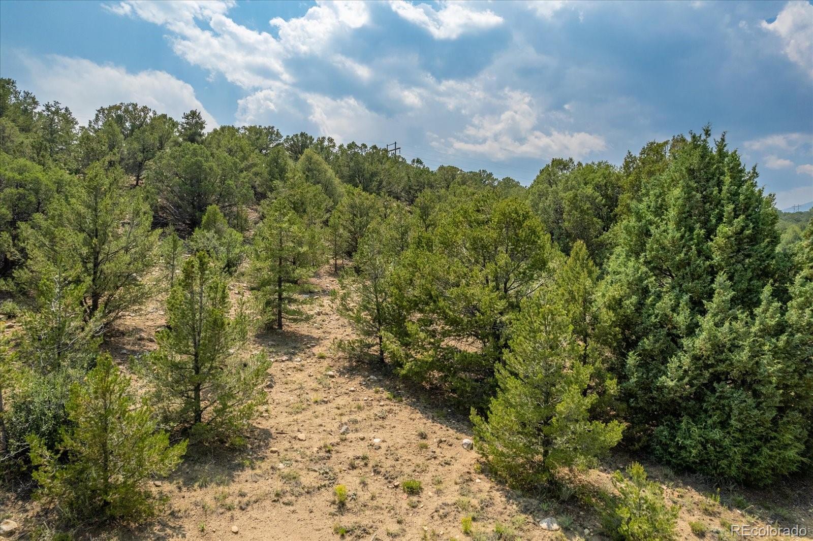 7925 Cozart Lane