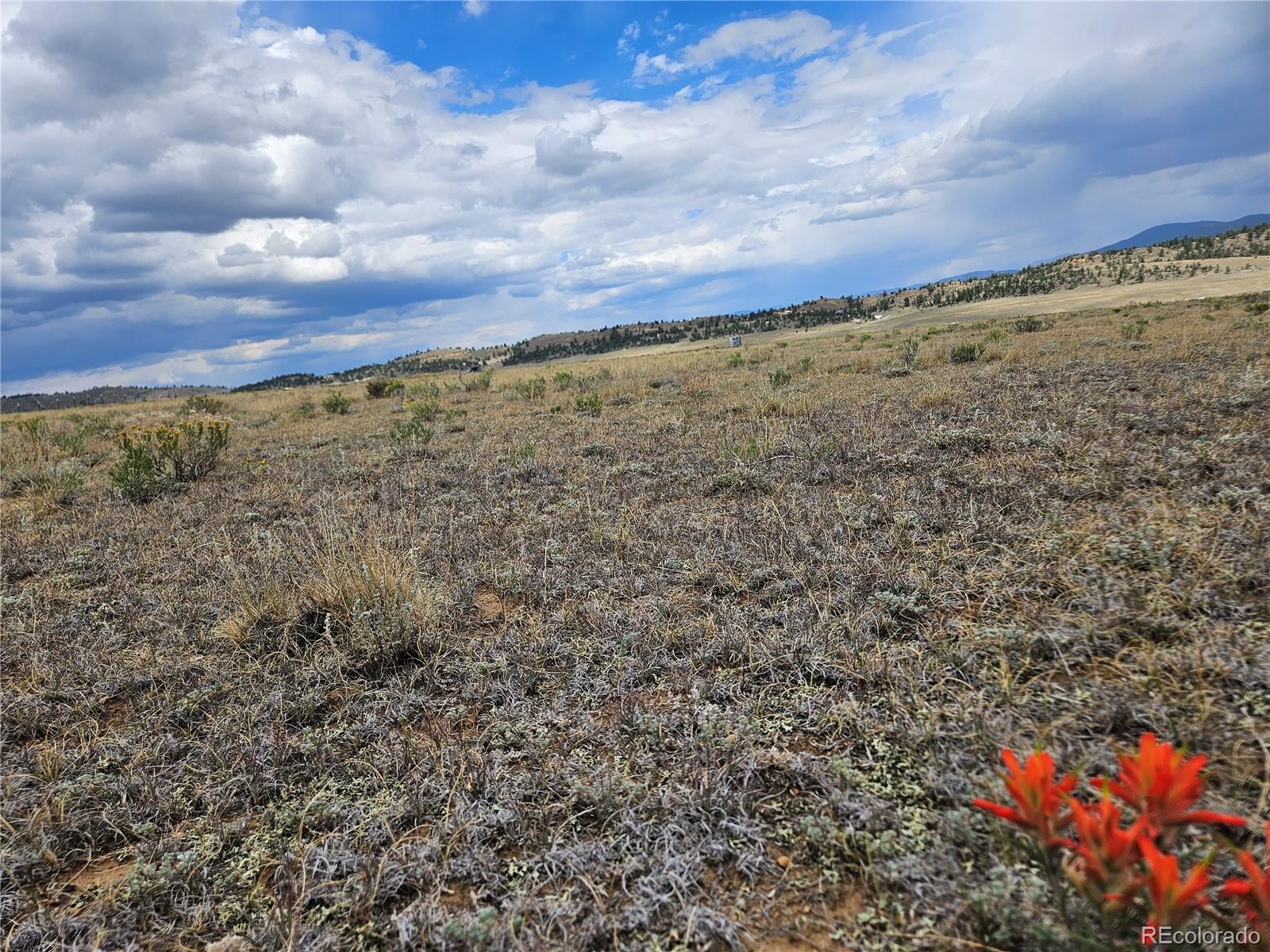 4124 Clear Creek Road