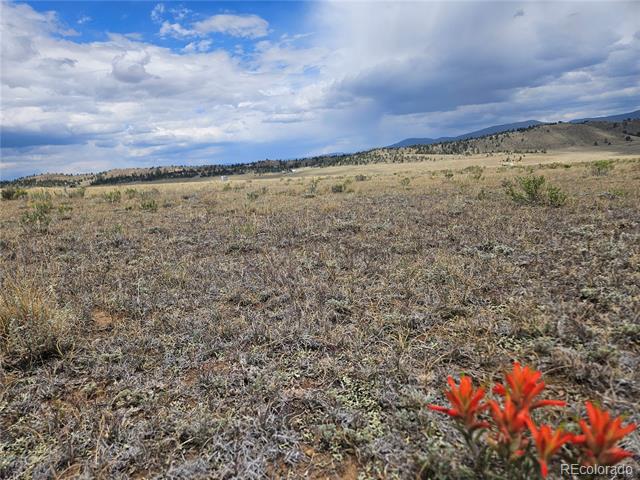 4124 Clear Creek Road
