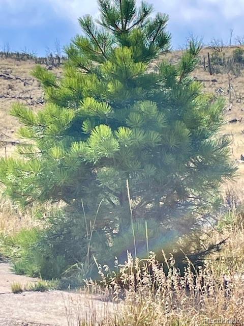 1971 County Road 27a