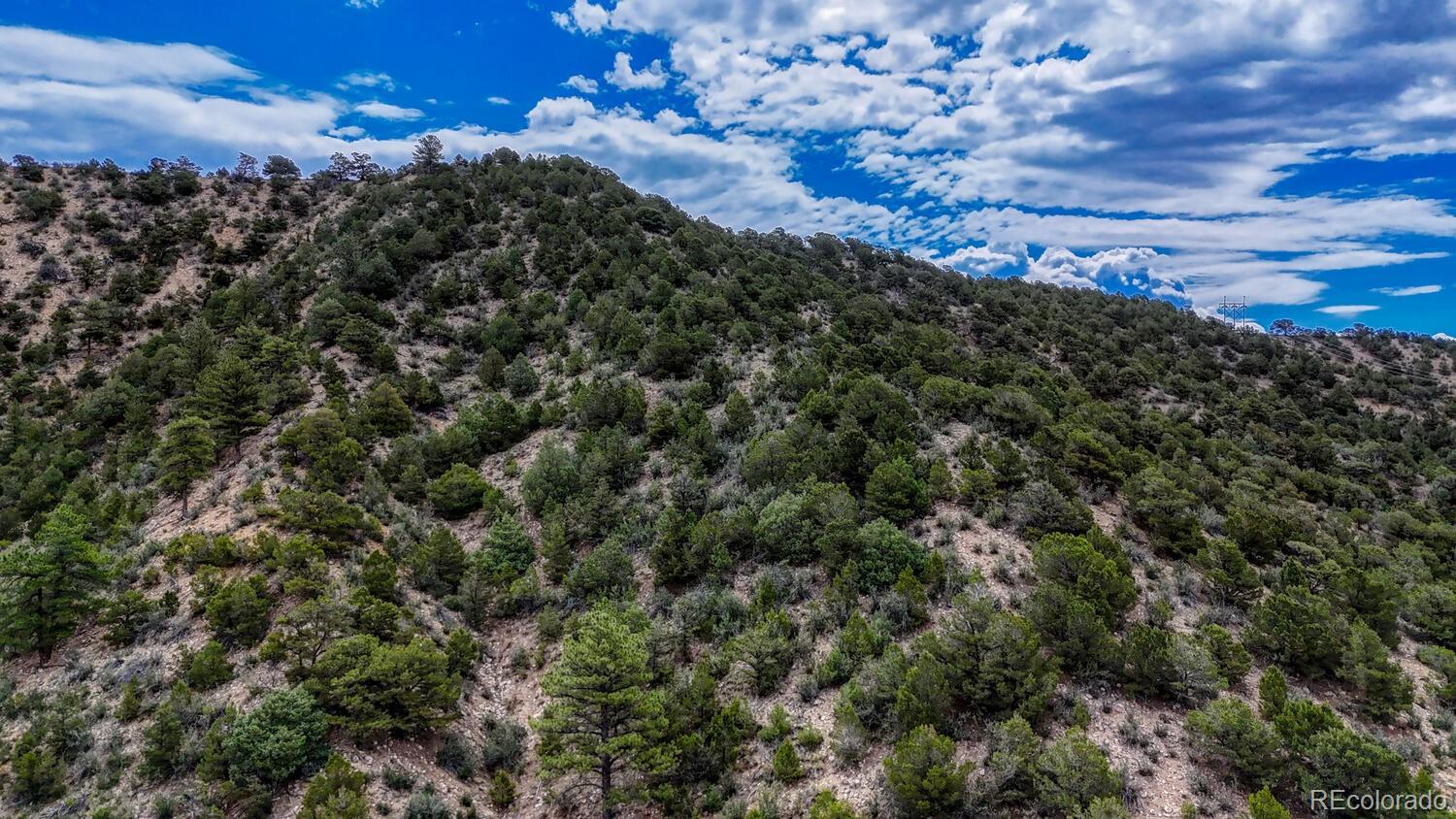 8966 Hanging Tree Drive