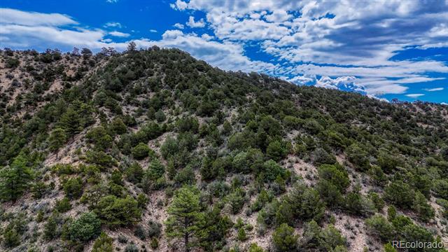 8966 Hanging Tree Drive