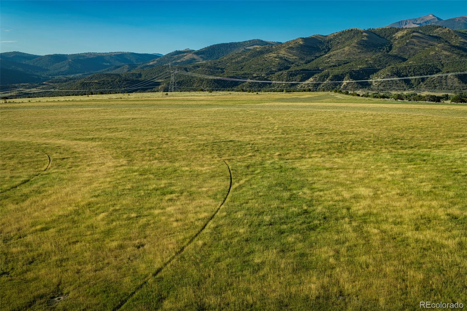 14100 County Road 140