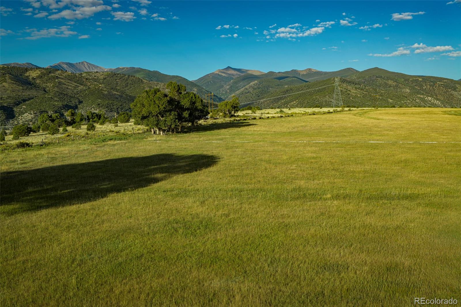 14100 County Road 140