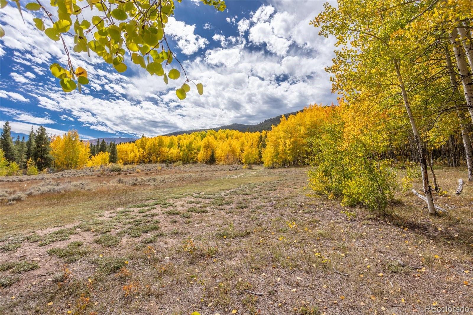 0000 TBD County Road 28A
