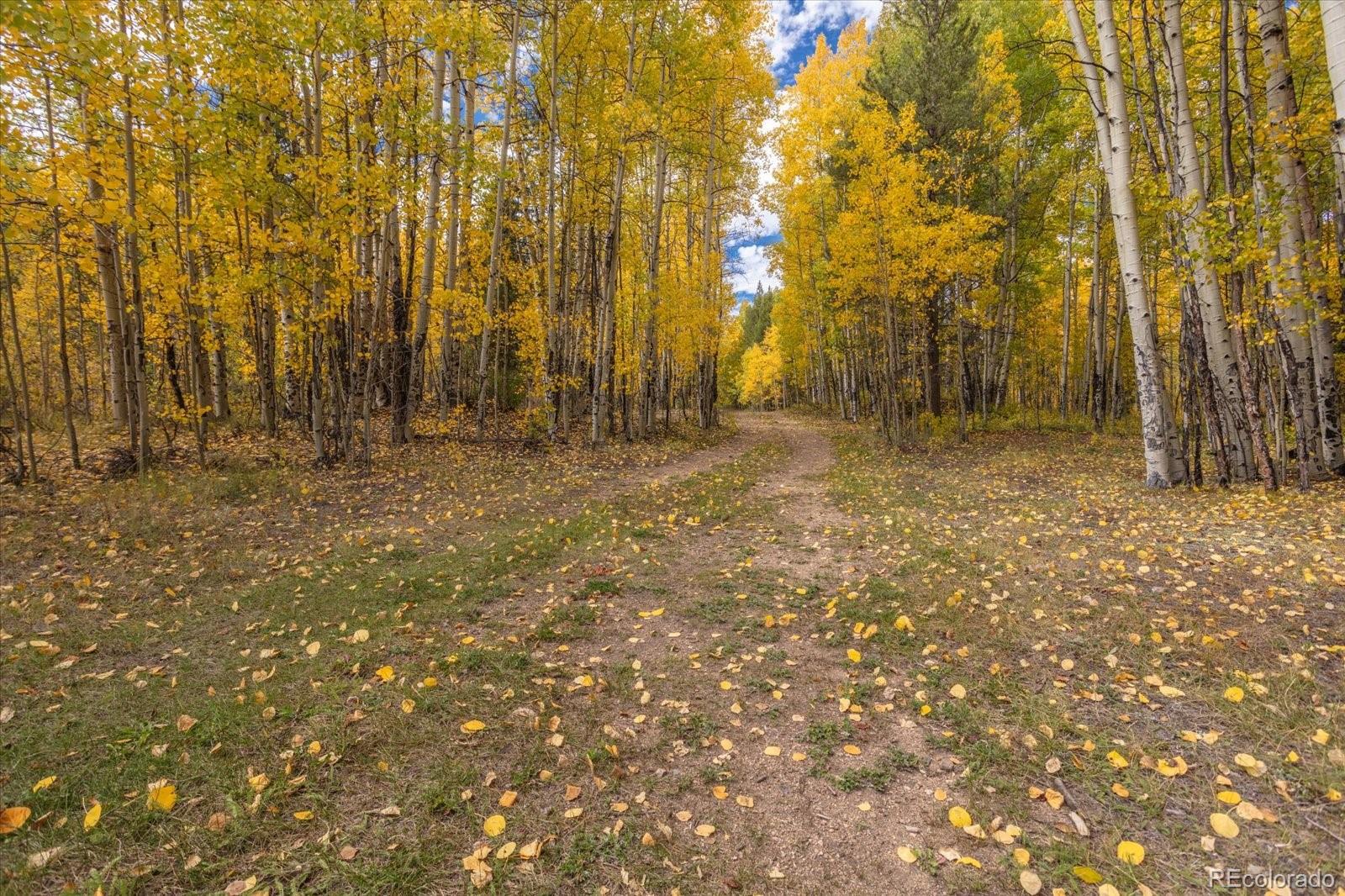 0000 TBD County Road 28A