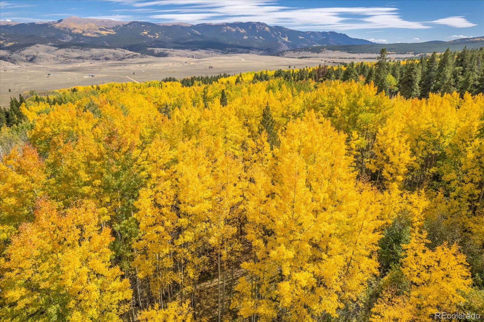 0000 TBD County Road 28A