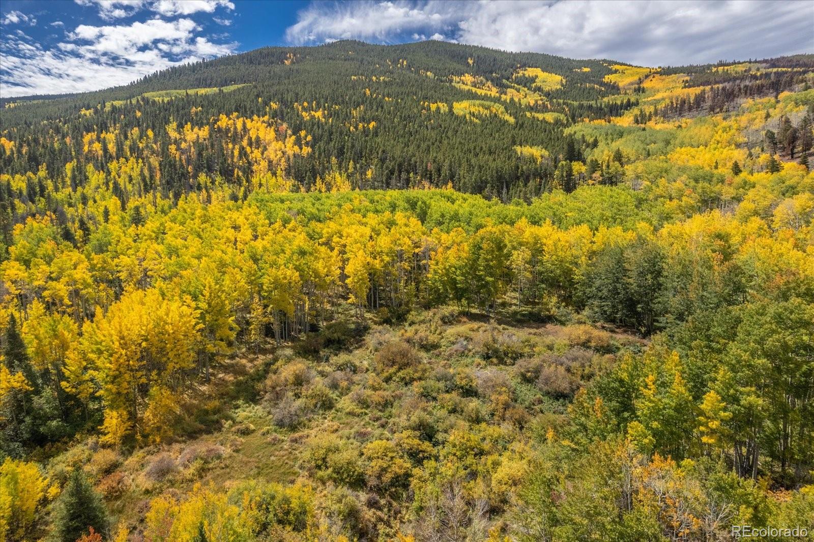 0000 TBD County Road 28A