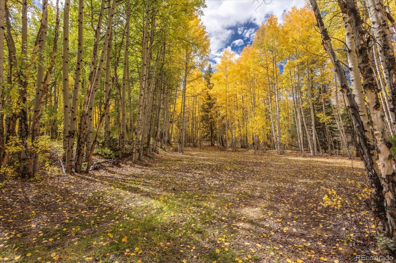 0000 TBD County Road 28A