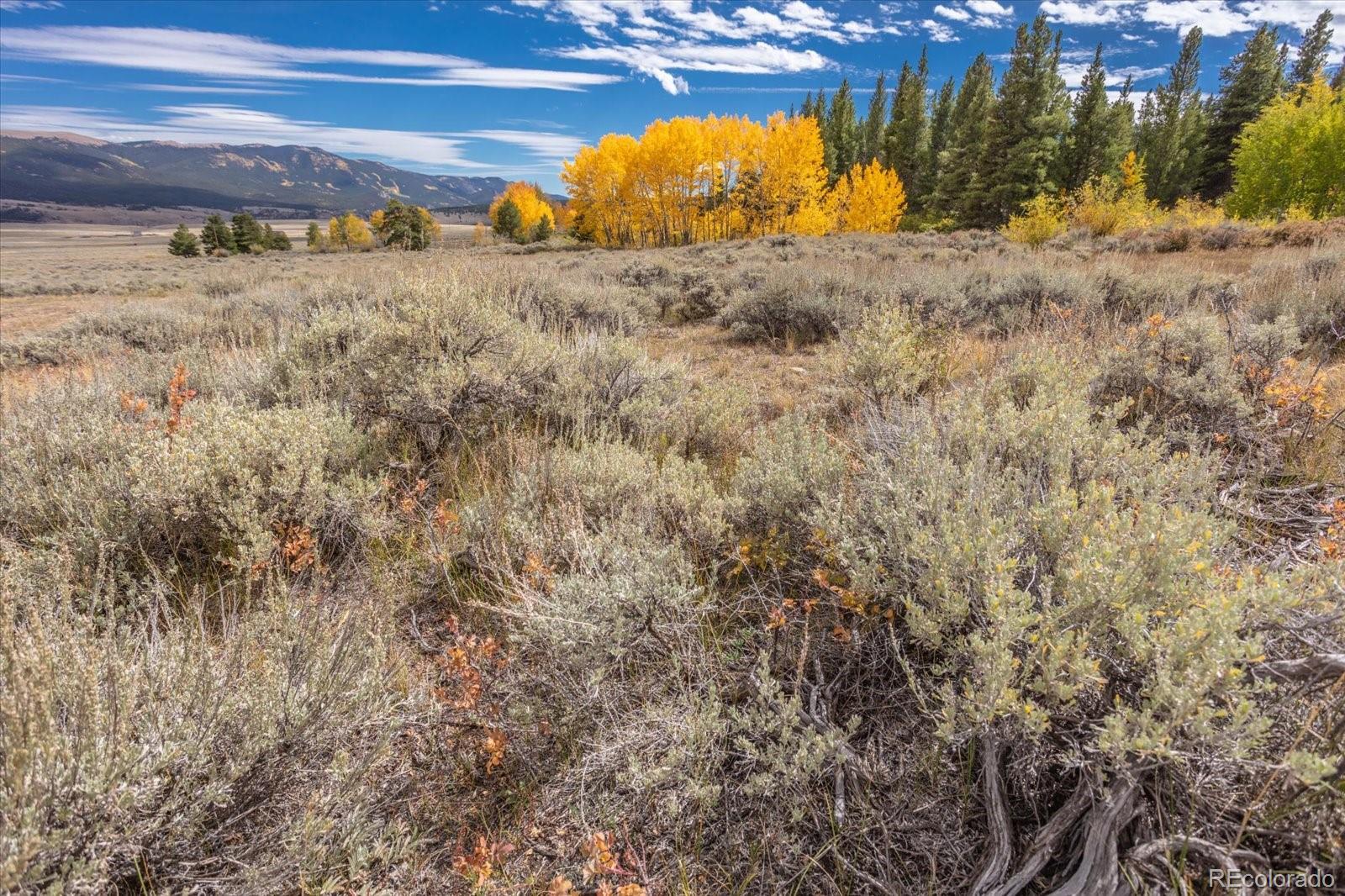 0000 TBD County Road 28A
