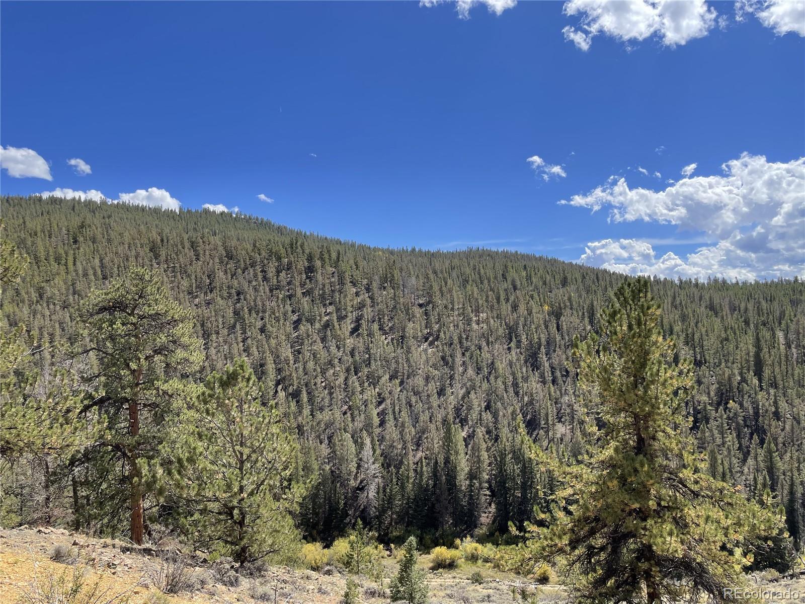 000 County Road 396