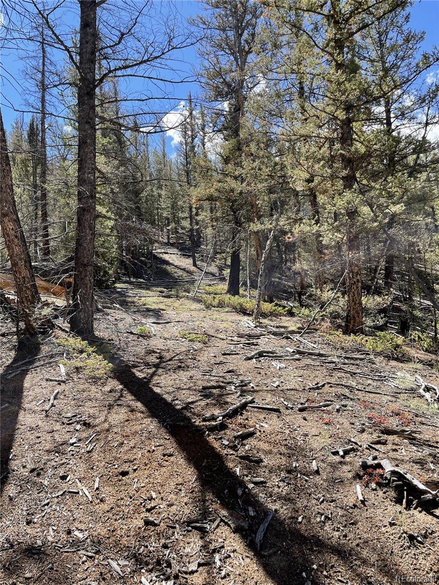 000 County Road 396