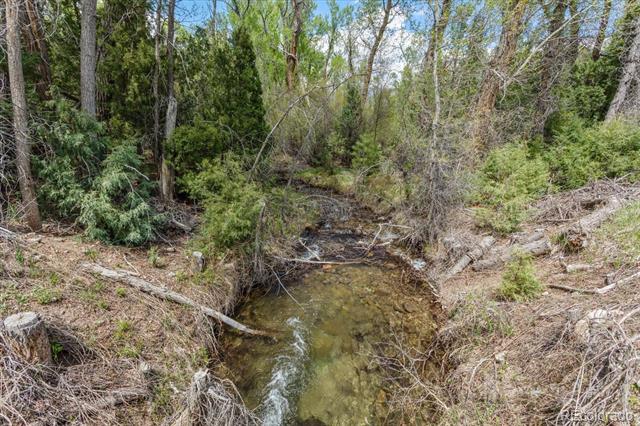 1638 County Road 46