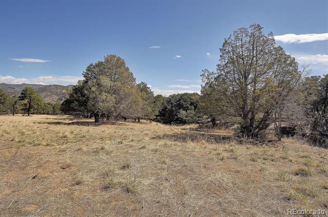 350 Sangre De Cristo Drive