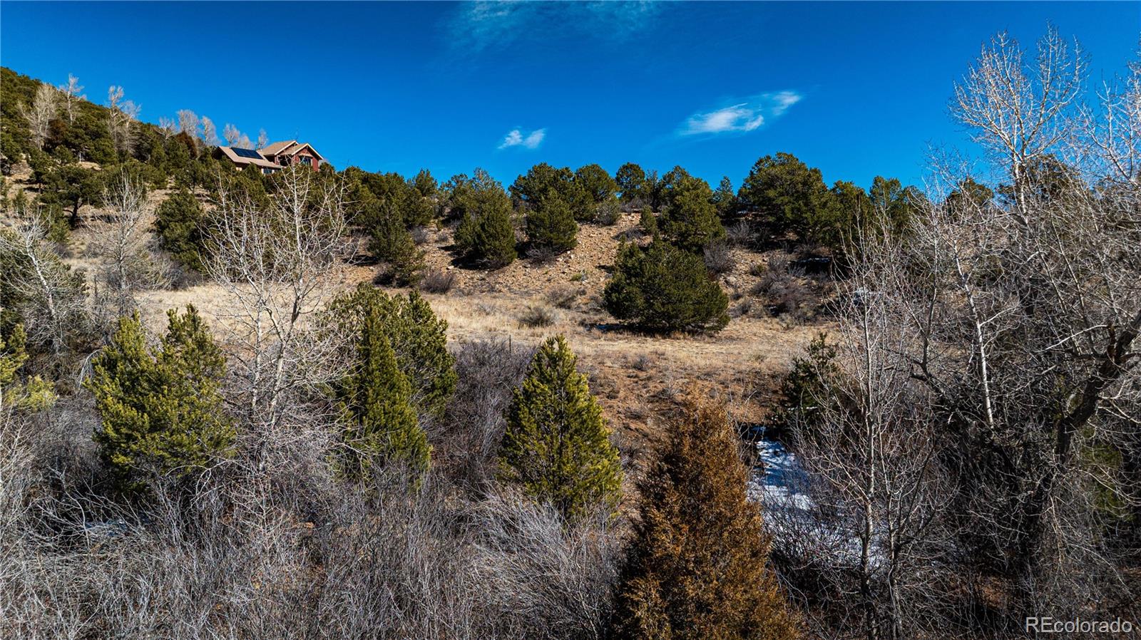 8209 Rocky Mountain Drive