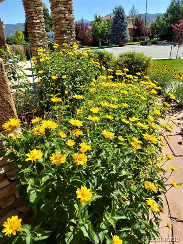 210 Cottonwood Circle