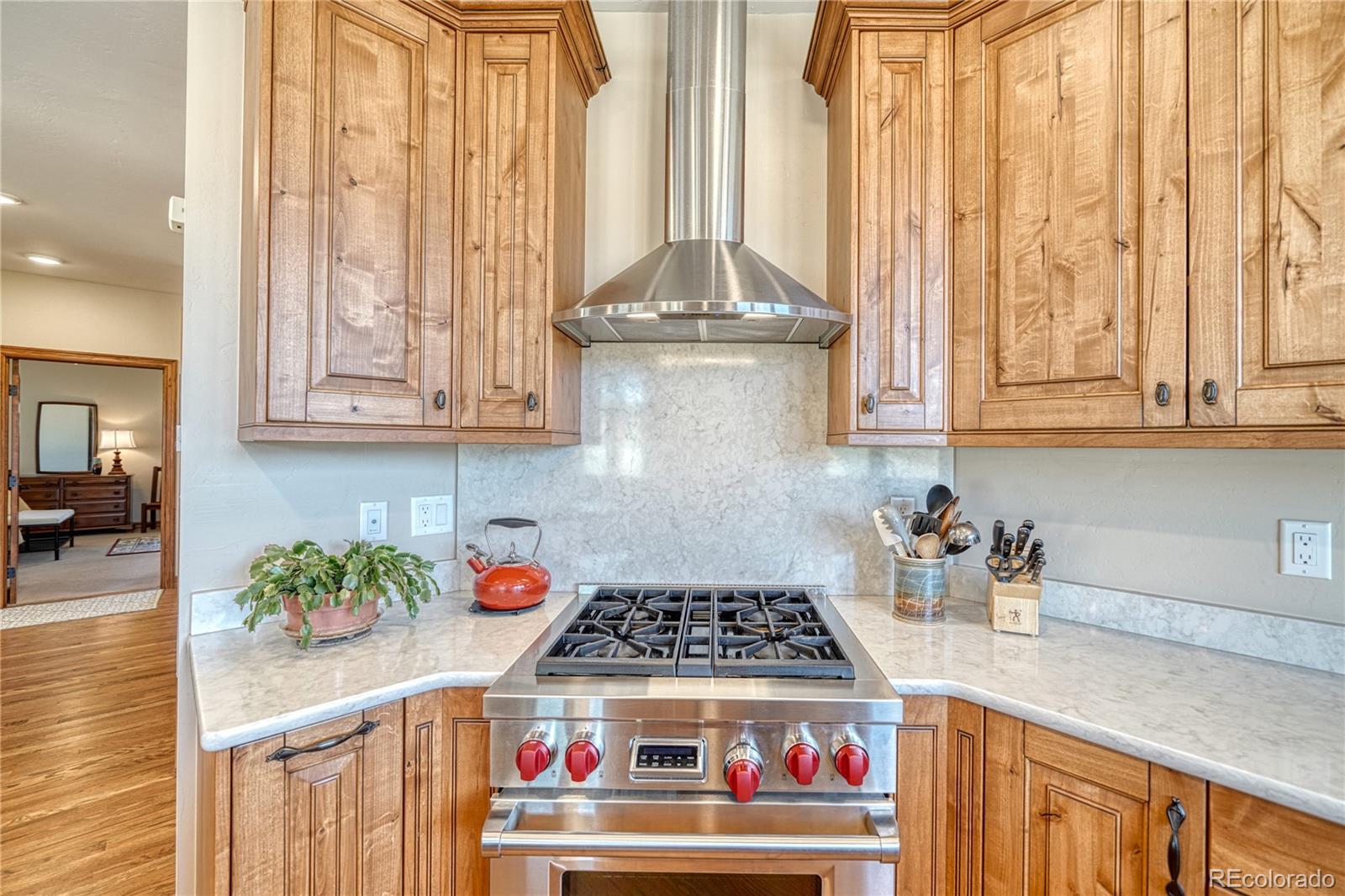 12501 Country Meadow Lane