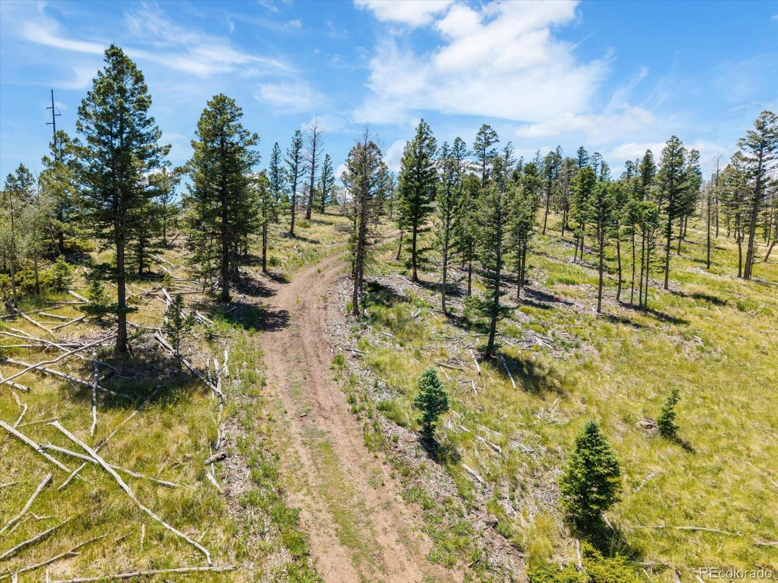 45835 Highway 285