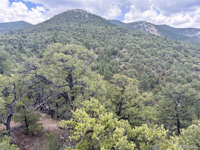3282 Lower Camp Road