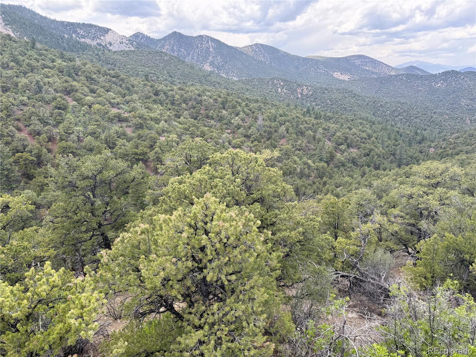 3282 Lower Camp Road