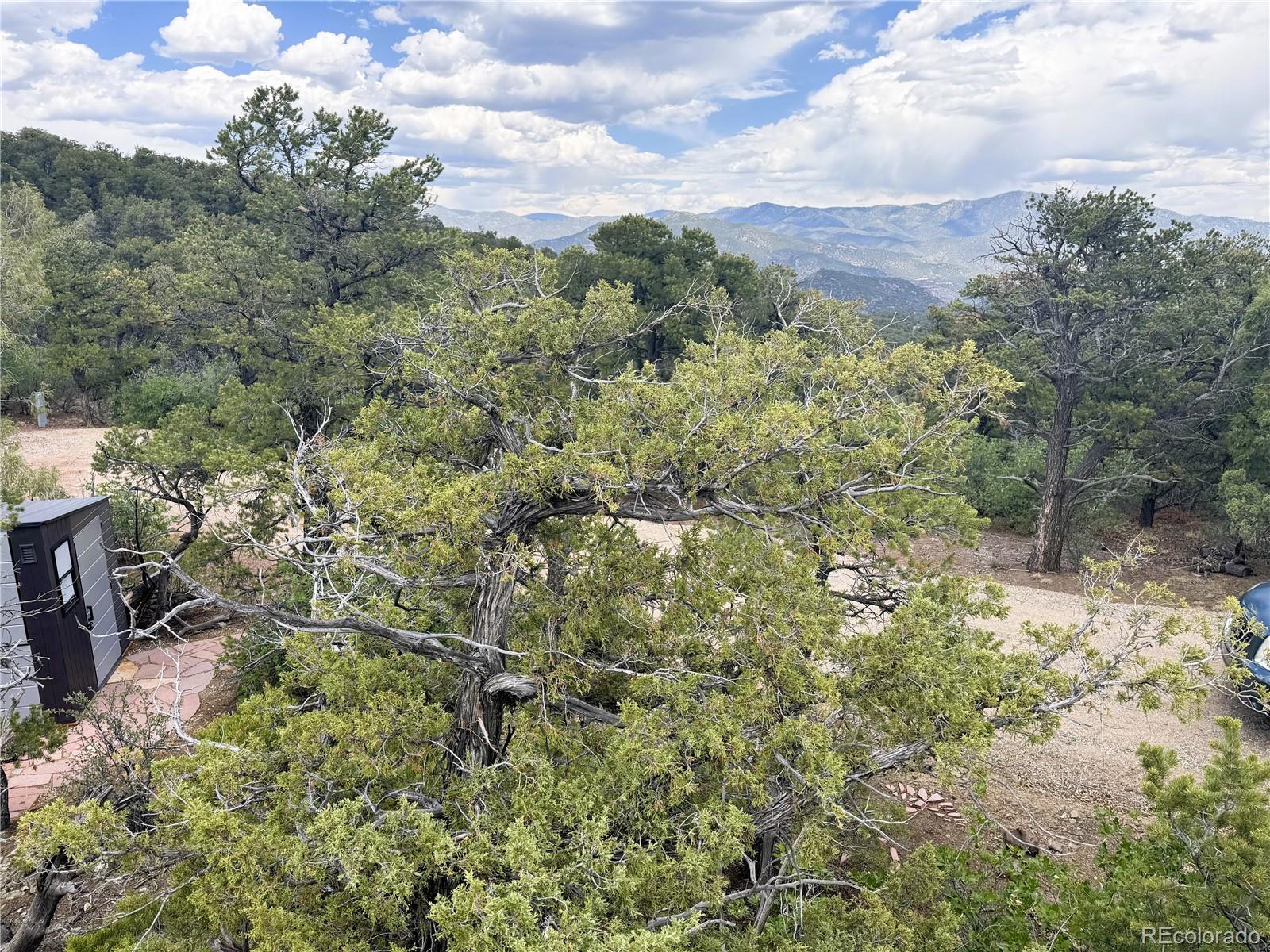 3282 Lower Camp Road