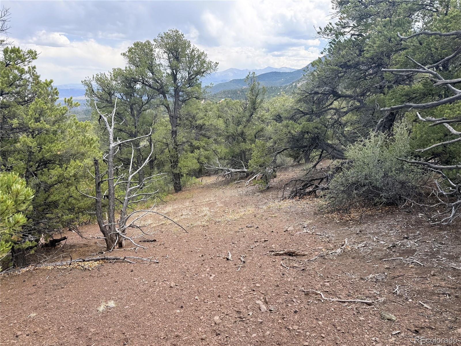 3282 Lower Camp Road