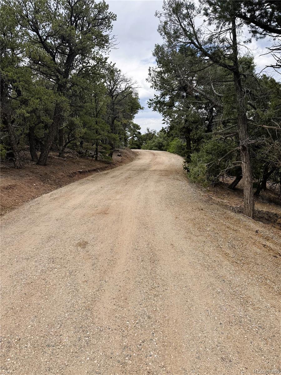 3282 Lower Camp Road