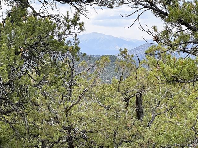 3282 Lower Camp Road