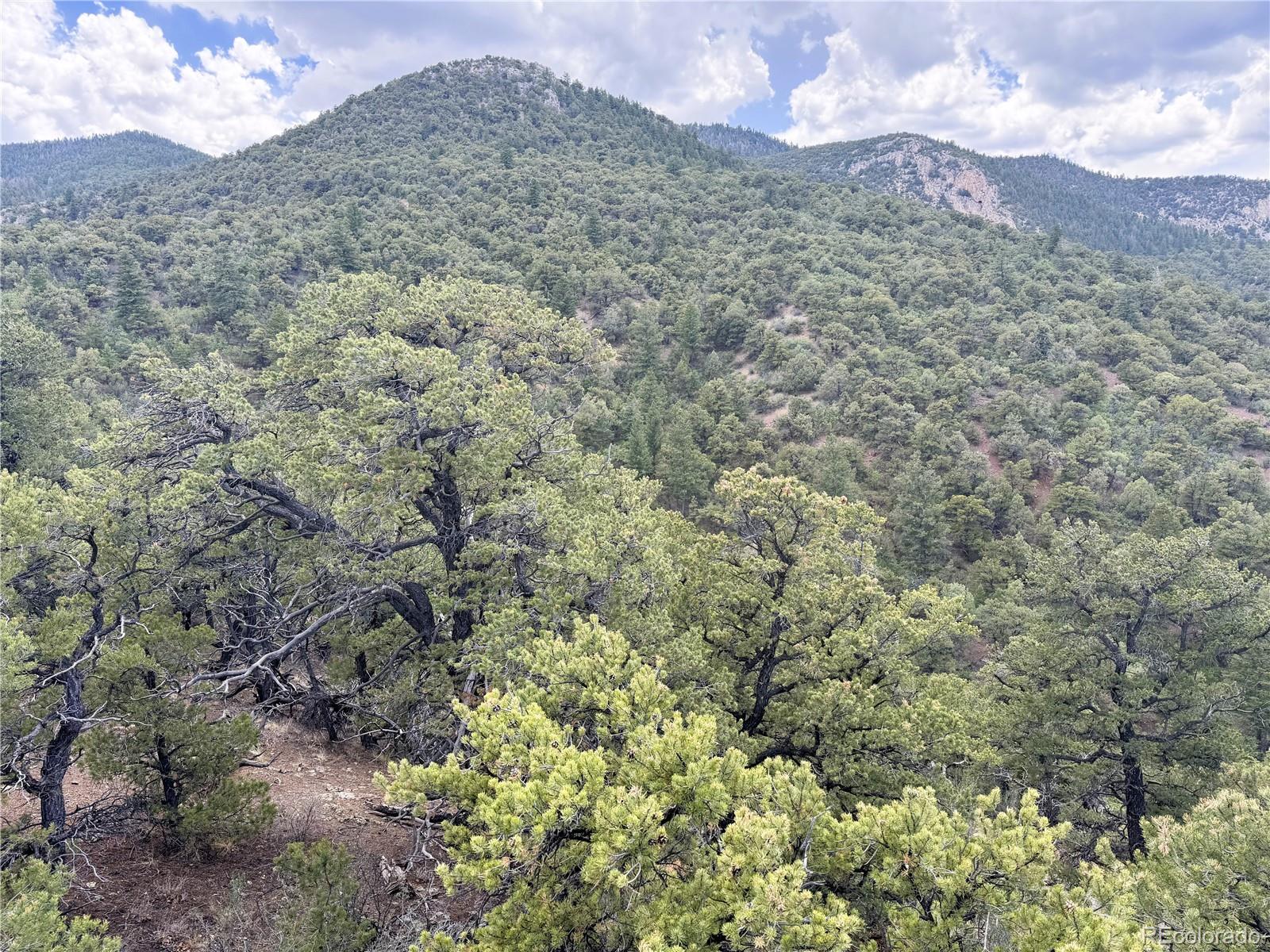 3282 Lower Camp Road