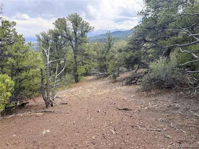 3282 Lower Camp Road