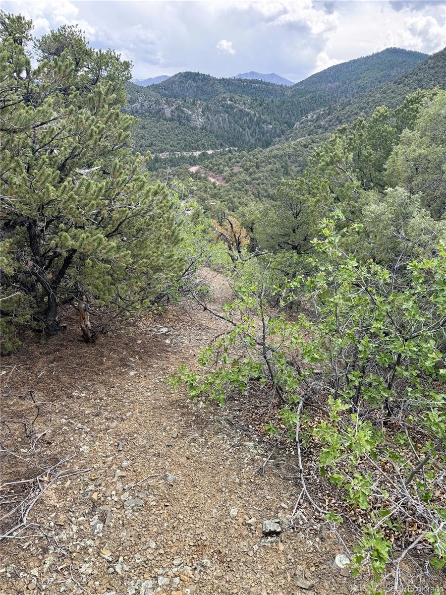 3282 Lower Camp Road
